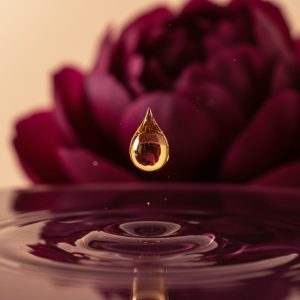 Potenciadores del Placer