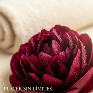 Vibradores para Ella